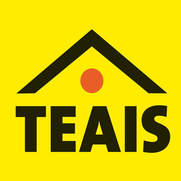 Logo firmy TEAIS Logo TEAIS - nowa marka na polskim rynku chemii budowlanej
